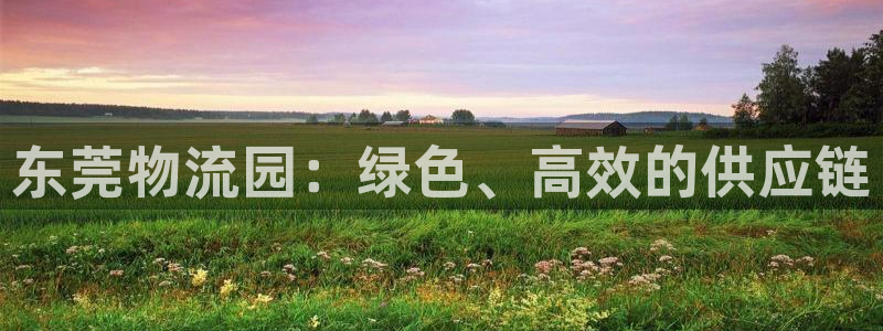 28圈p扣款什么意思