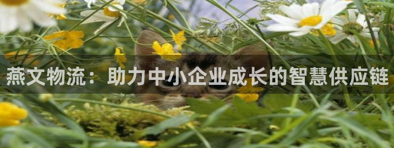 28圈怎么下載不了