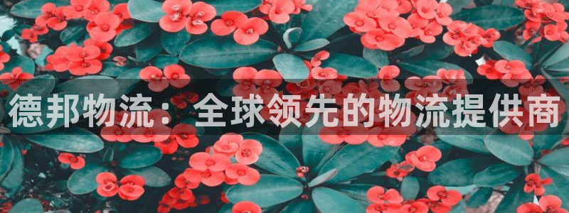 28圈能不能退