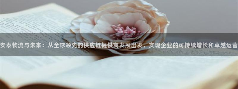 28圈返水怎么算的:安泰物流與未來: