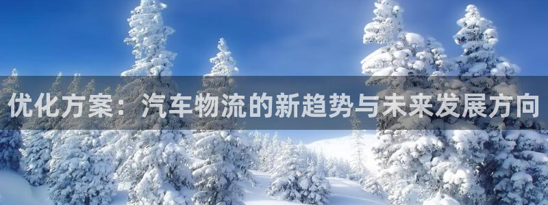 28圈p扣除是什么意思:優化方案:汽