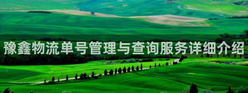 28圈cn:豫鑫物流單號管理與查詢服