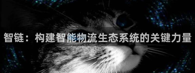 28圈正規嗎?:智鏈:構建智能物流生