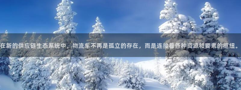 28圈自行車圖片