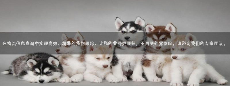 28圈.ccm正版:在物流信息查詢中