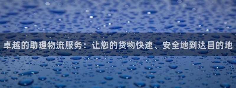 28圈怎么下載:卓越的助理物流服務(wù):