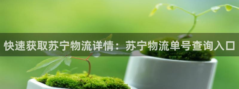 28圈注冊問一問:快速獲取蘇寧物流詳