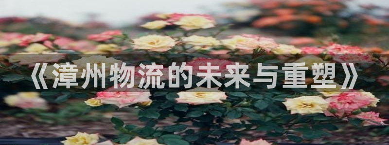 28圈客服電話:《漳州物流的未來與重