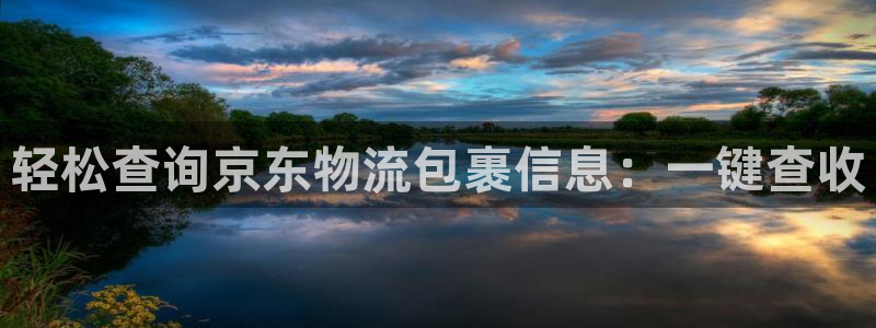 28圈提款一直沒到:輕松查詢京東物流