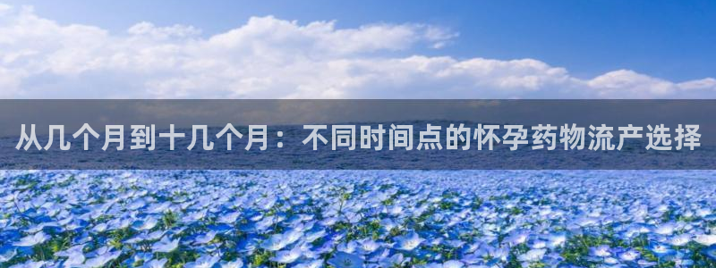 28圈軟件是什么:從幾個月到十幾個月