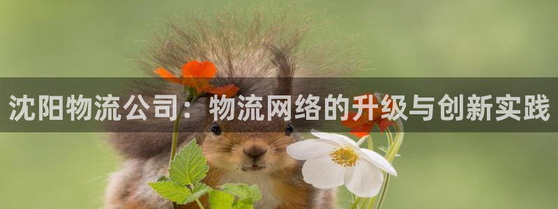 28圈.ccmpc29官網版:沈陽物