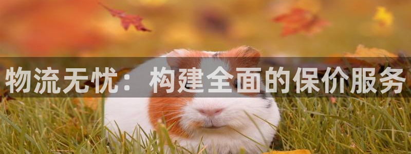 28圈官網開獎結果預測:物流無憂:構