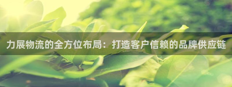28圈防失聯(lián)網(wǎng)址:力展物流的全方位布
