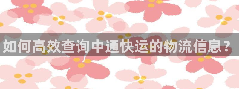 麻將128圈:如何高效查詢中通快運(yùn)的