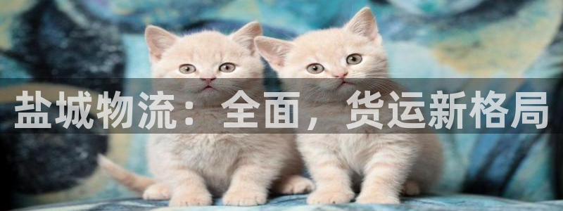 28圈吧:鹽城物流:全面,貨運新格局