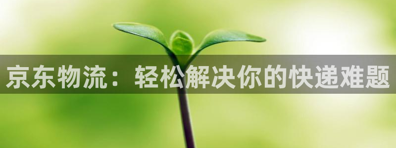 28圈入口問(wèn)一問(wèn):京東物流:輕松解決
