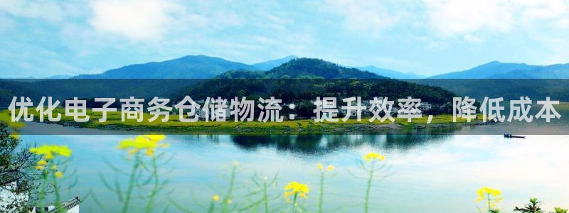 28圈取保:優化電子商務倉儲物流:提