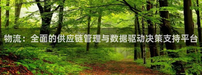 28圈充值不處理：物流：全面的供應鏈管理與數據驅動決策支持平
