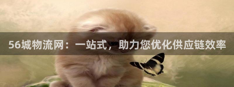 28圈如何注銷賬號：56城物流網(wǎng)：一