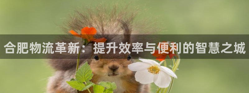 28圈游戲:合肥物流革新:提升效率與