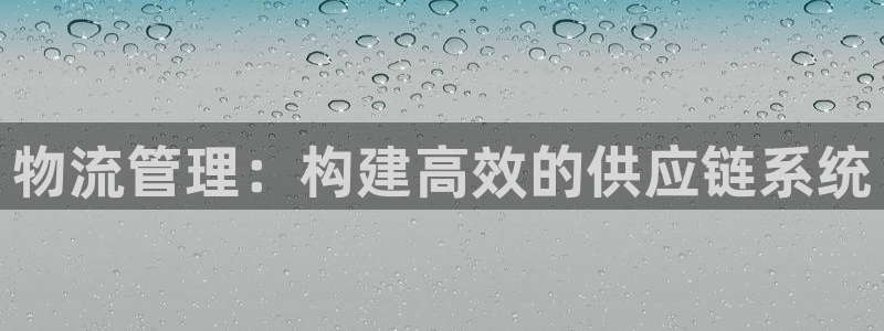 28圈官方官網版:物流管理:構建高效