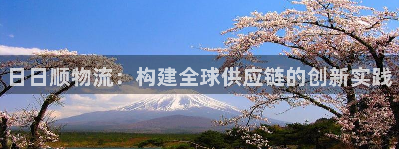 28圈比特28預測在線預測:日日順物