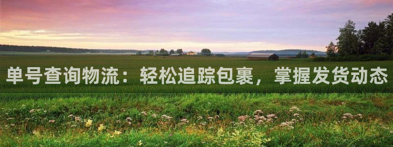 加拿大28圈數(shù)字規(guī)則：單號查詢物流：