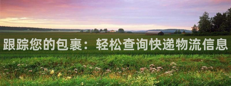 28圈注冊網站鏈接怎么弄:跟蹤您的包