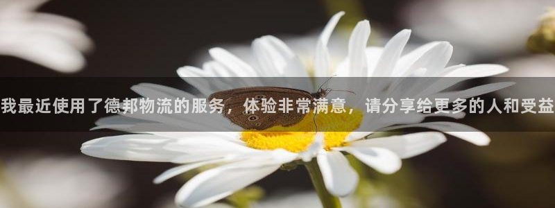 28圈客服一直不回消息怎么辦:我最近
