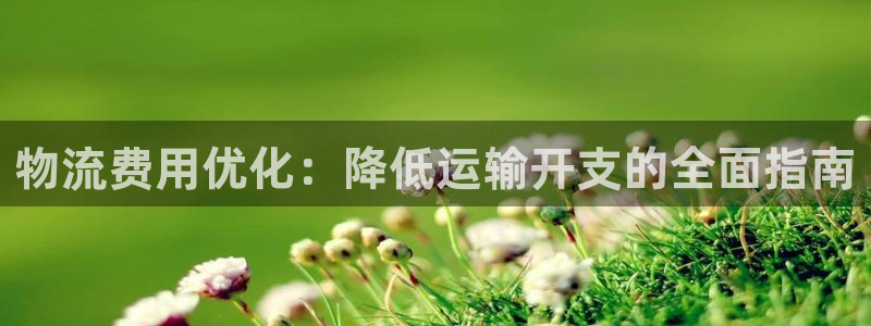 28圈輔助:物流費用優化:降低運輸開