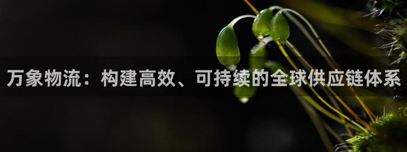 28圈怎么注冊游戲名字：萬象物流：構建高效、可持續的全球供應
