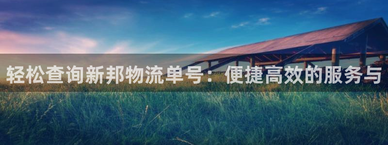 28圈p圖上分下款通道:輕松查詢新邦