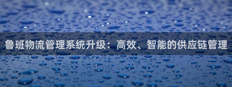 28圈官方官網:魯班物流管理系統升級