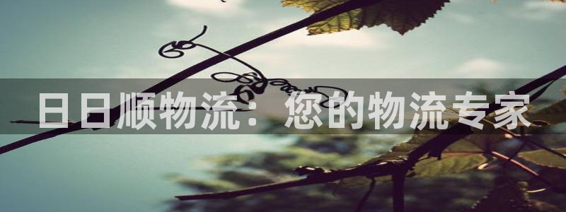 28圈官方網站預測