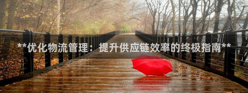 28圈注冊登錄鏈接流程:**優化物流