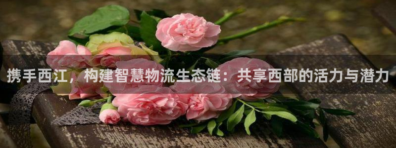 28圈是正規軟件嗎