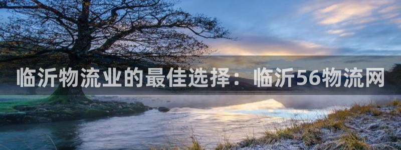 28圈自行車圖片:臨沂物流業的最佳選