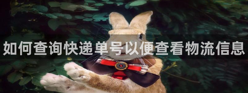 28圈口內徑是多大:如何查詢快遞單號
