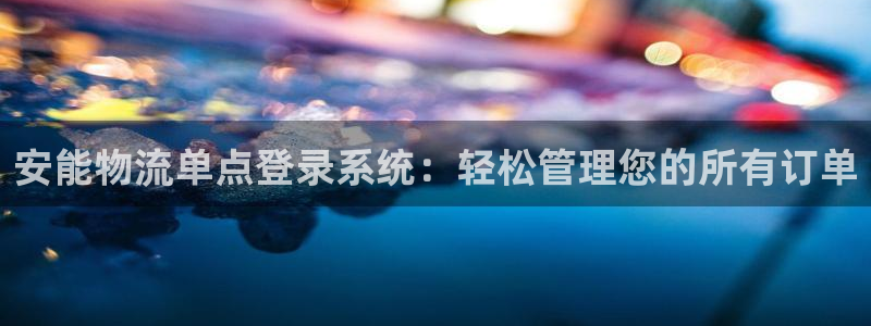 28圈是啥:安能物流單點(diǎn)登錄系統(tǒng):輕