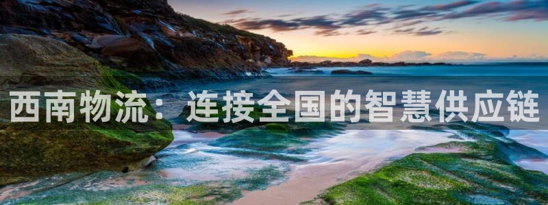 28圈注冊網(wǎng)站鏈接怎么弄:西南物流: