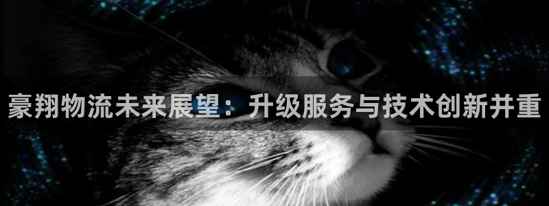 28圈和南宮28什么關系:豪翔物流未