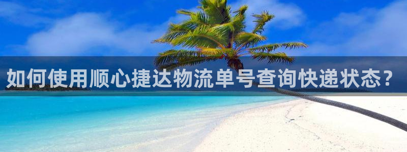 28圈可靠嗎:如何使用順心捷達物流單