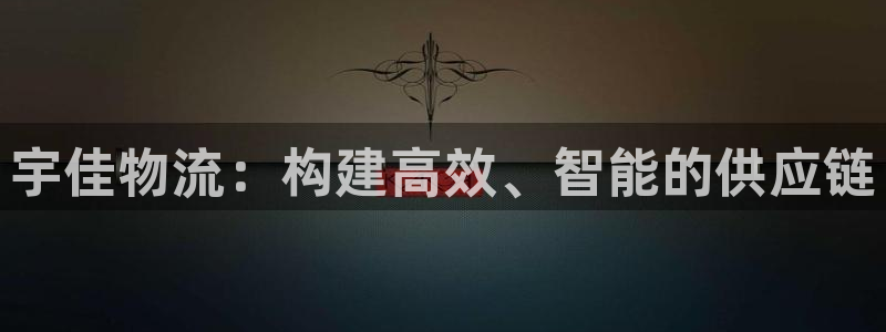 28圈下載鏈接是多少:宇佳物流:構(gòu)建