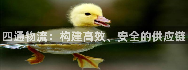 28圈注冊入口與教程:四通物流:構建