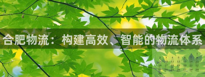 加拿大28圈數字規則:合肥物流:構建