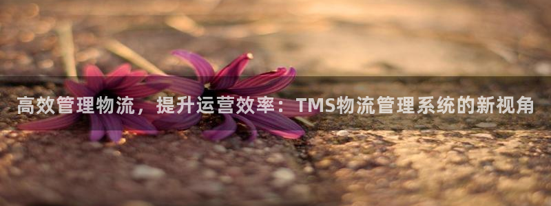 28圈是什么軟件:高效管理物流,提升