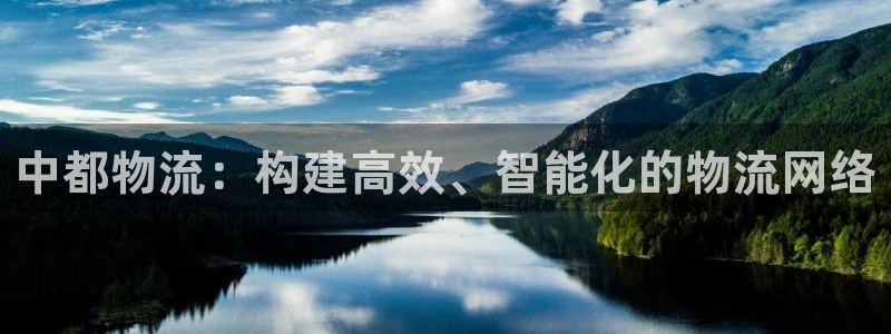 28圈最穩(wěn)打法:中都物流:構(gòu)建高效、