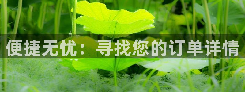 28圈注冊鏈接入口:便捷無憂:尋找您