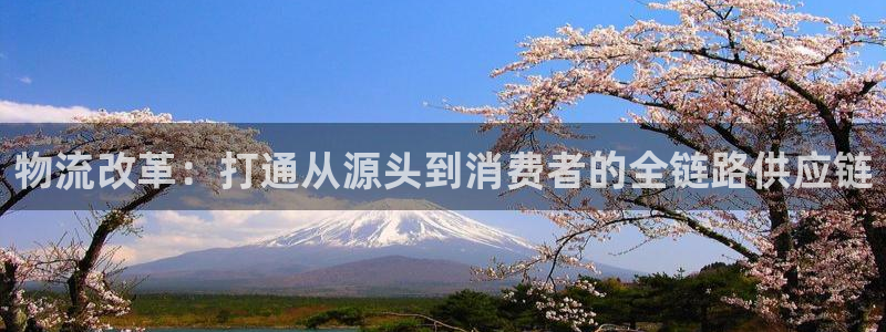 28圈鏈接:物流改革:打通從源頭到消