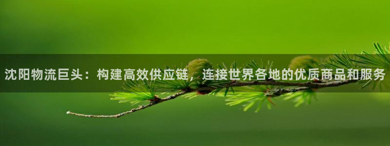 28圈圖片:沈陽物流巨頭:構建高效供